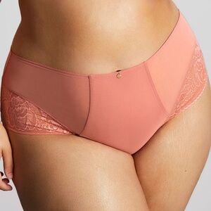NEW Sculptresse Panache Dream Lace Sheer Mesh Deep Brief Panty 10804 Rose Pink